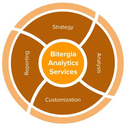 Bitergia Analytics Cycle: Strategy, Analysis, Customization, Reporting